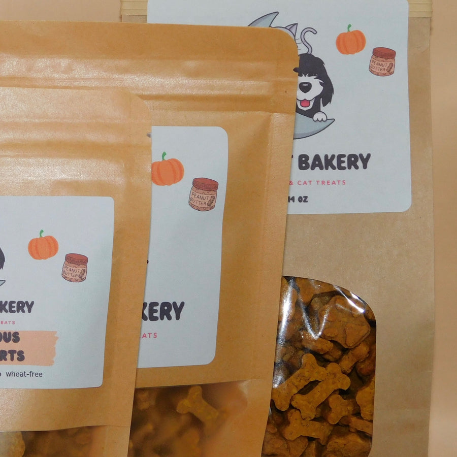 Dog Training Treats - Lil’ Gord-Geous Pumpkin Hearts